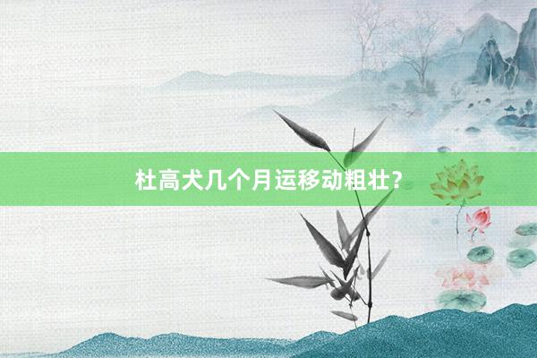 杜高犬几个月运移动粗壮？